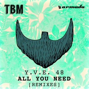 Y.V.E. 48 All You Need Remixes
